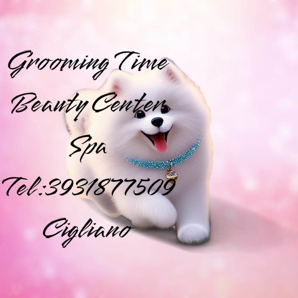 Immagine toelettatori-italia.it @ DOGStyle @ GROOMING TIME DI LUISELLA CECCHINATO